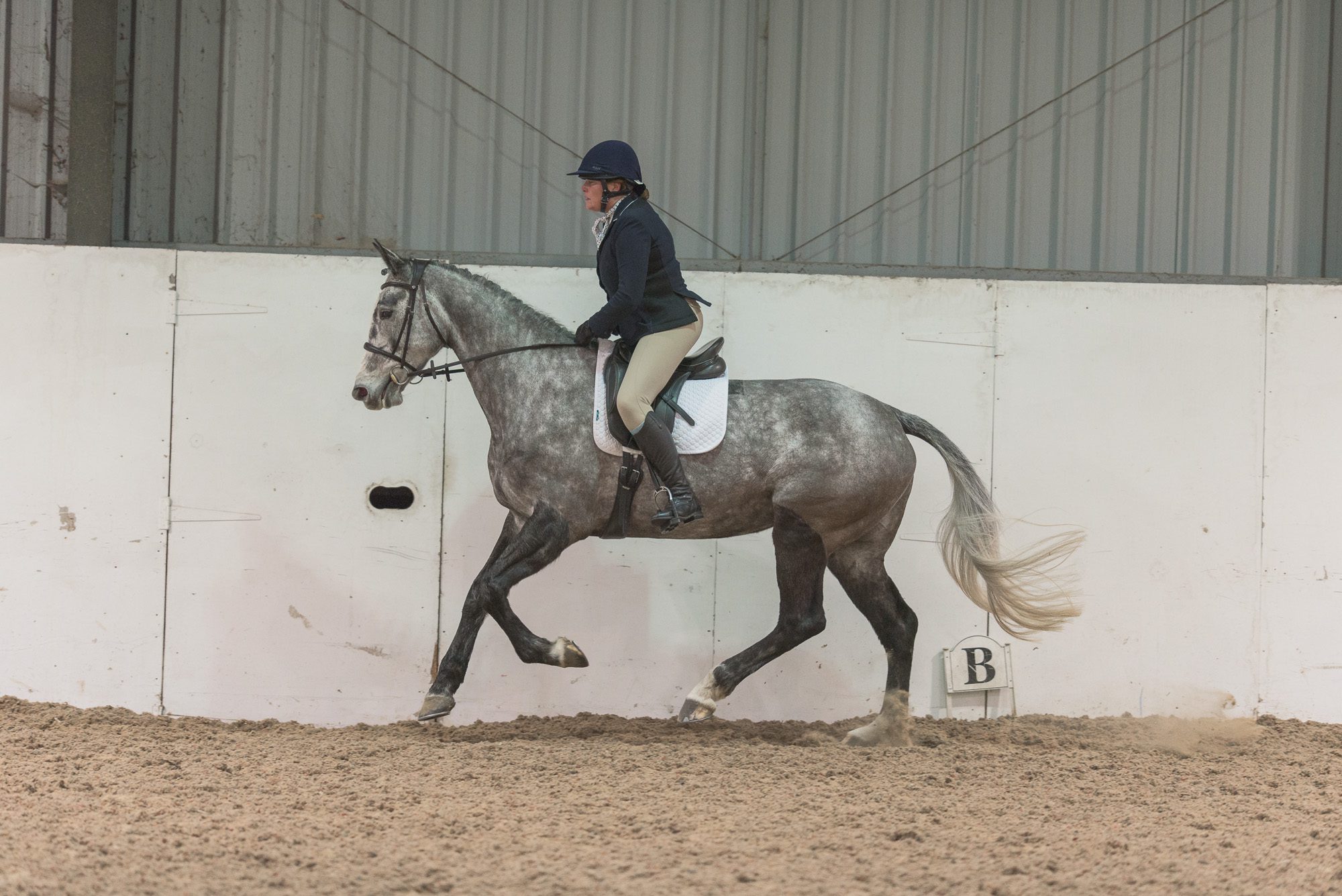 Grey horse cantering in an indoor arena in a prelim dressage test