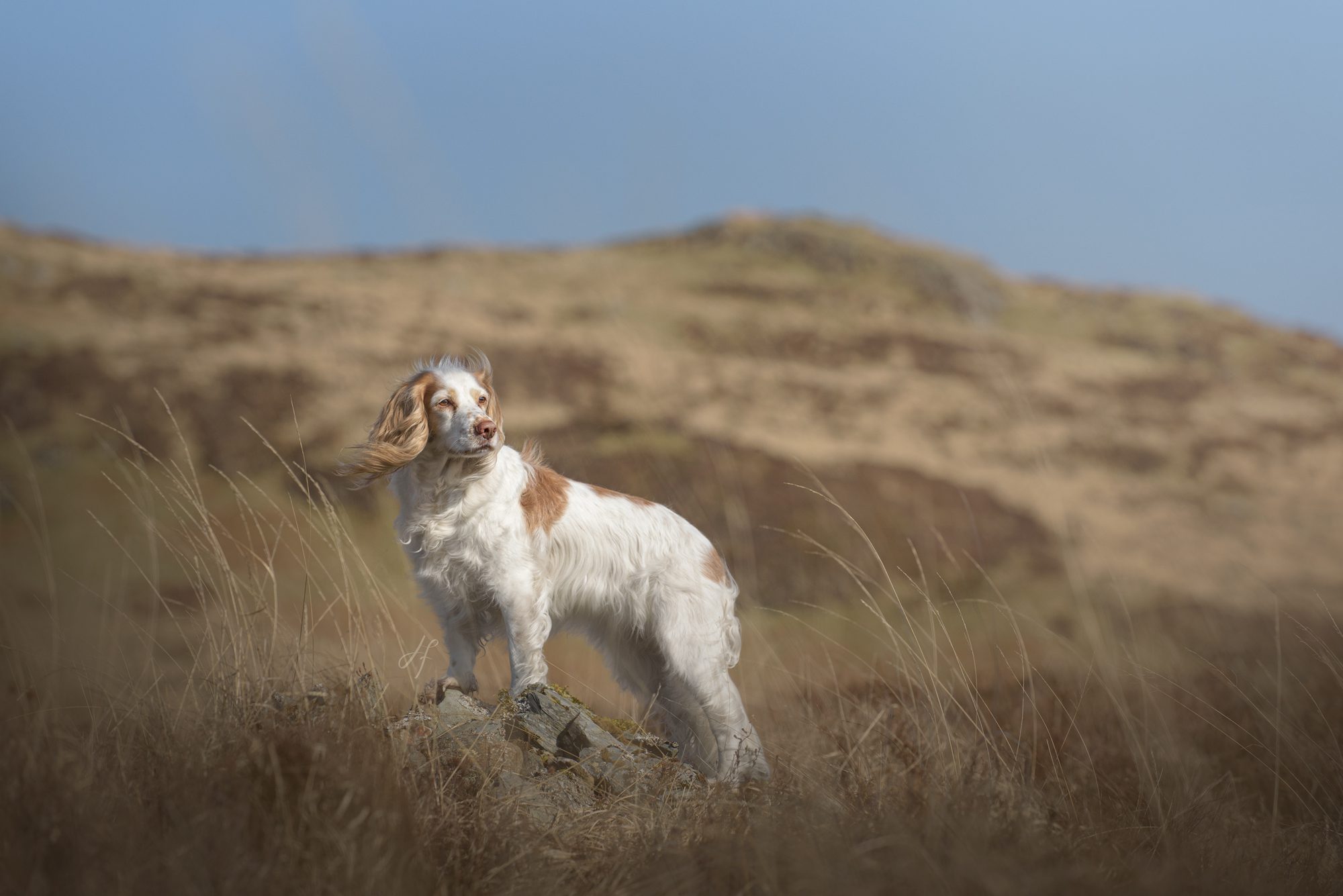 Laura Fiddaman Photography | Commercial & Branding
